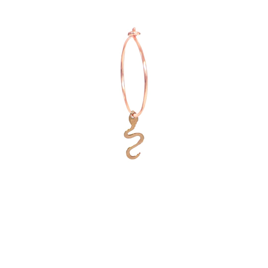 Orecchini serpente in argento Sterling 925 da donna semplici Orecchini serpente in argento Sterling 925 da donna semplici